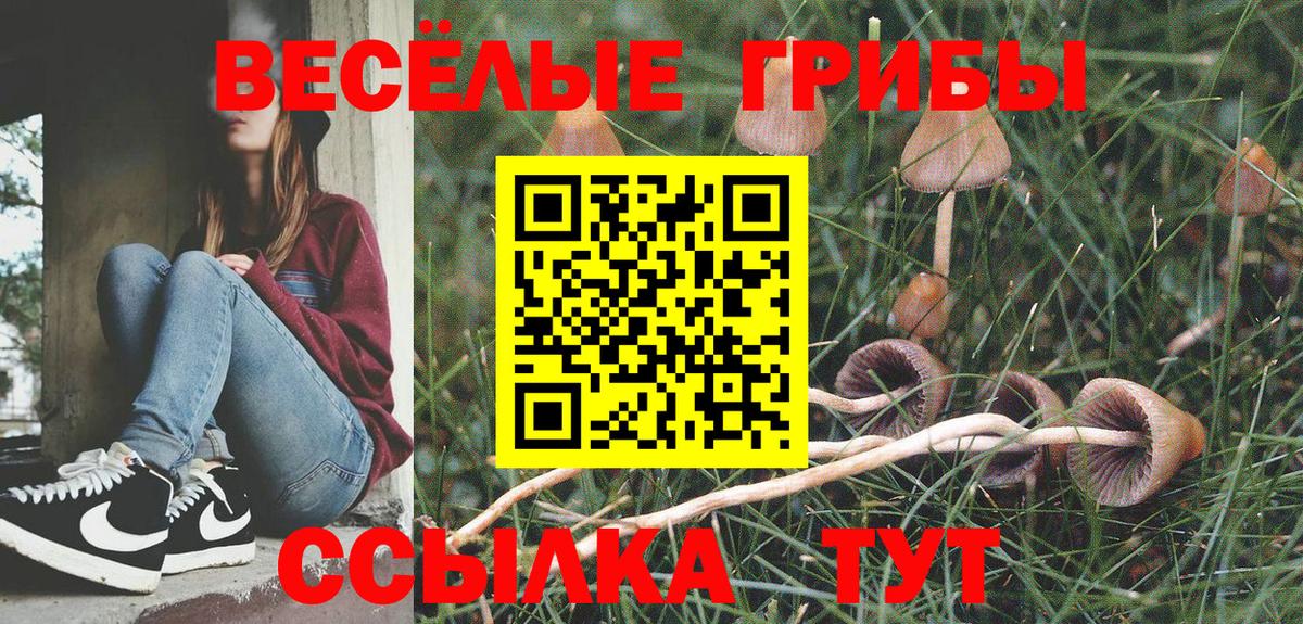 Псилоцибиновые грибы GOLDEN TEACHER Гусев